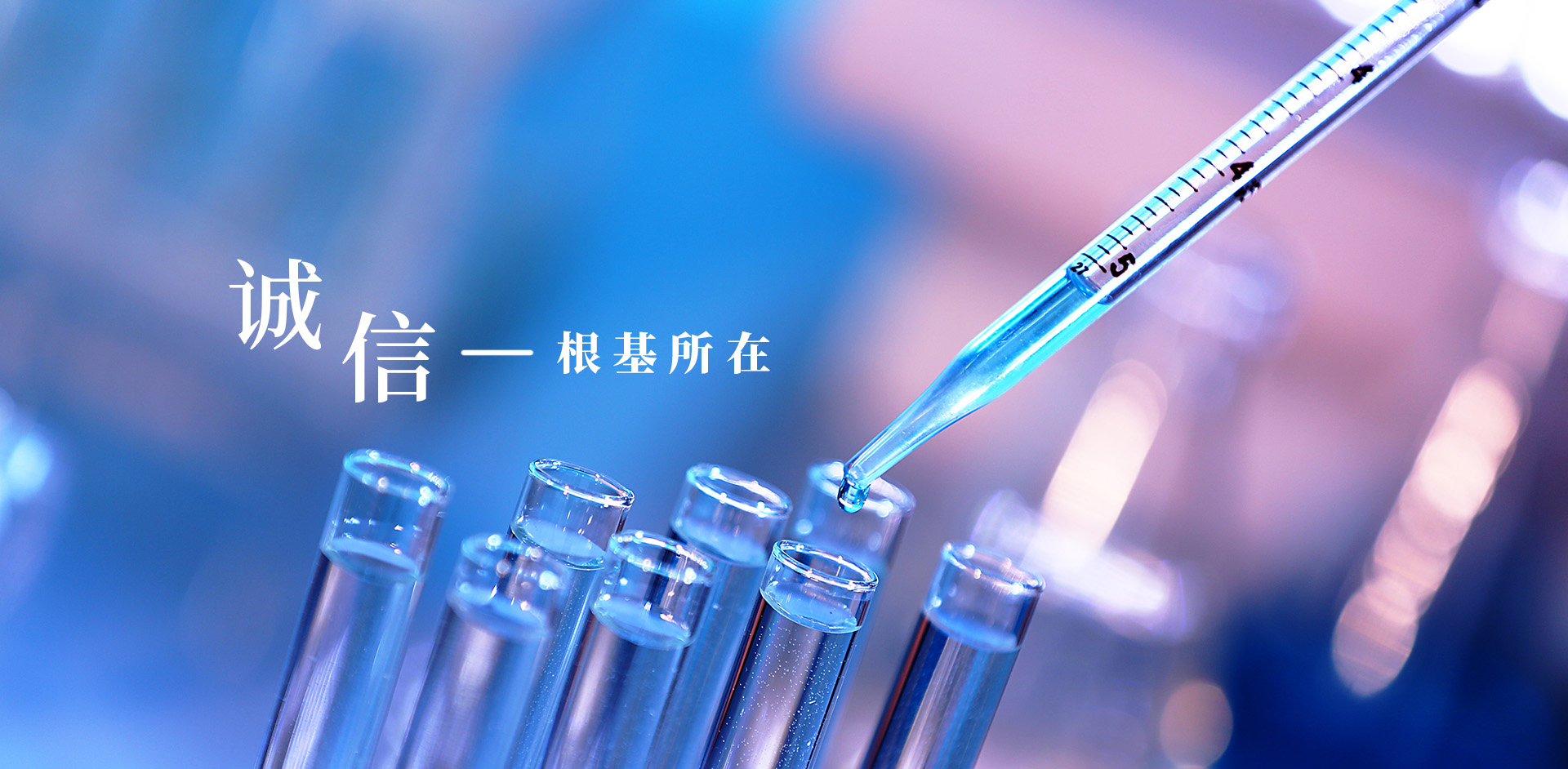 9888拉斯维加斯(股份)有限公司-官方网站