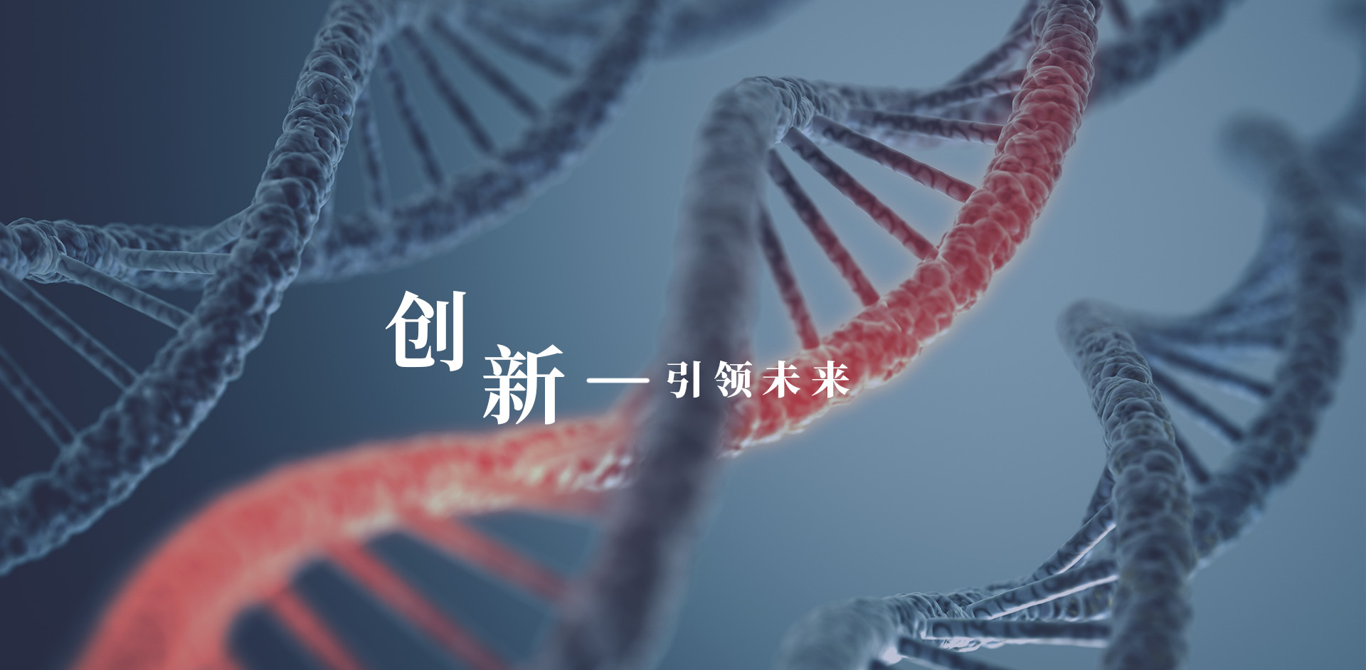 9888拉斯维加斯(股份)有限公司-官方网站